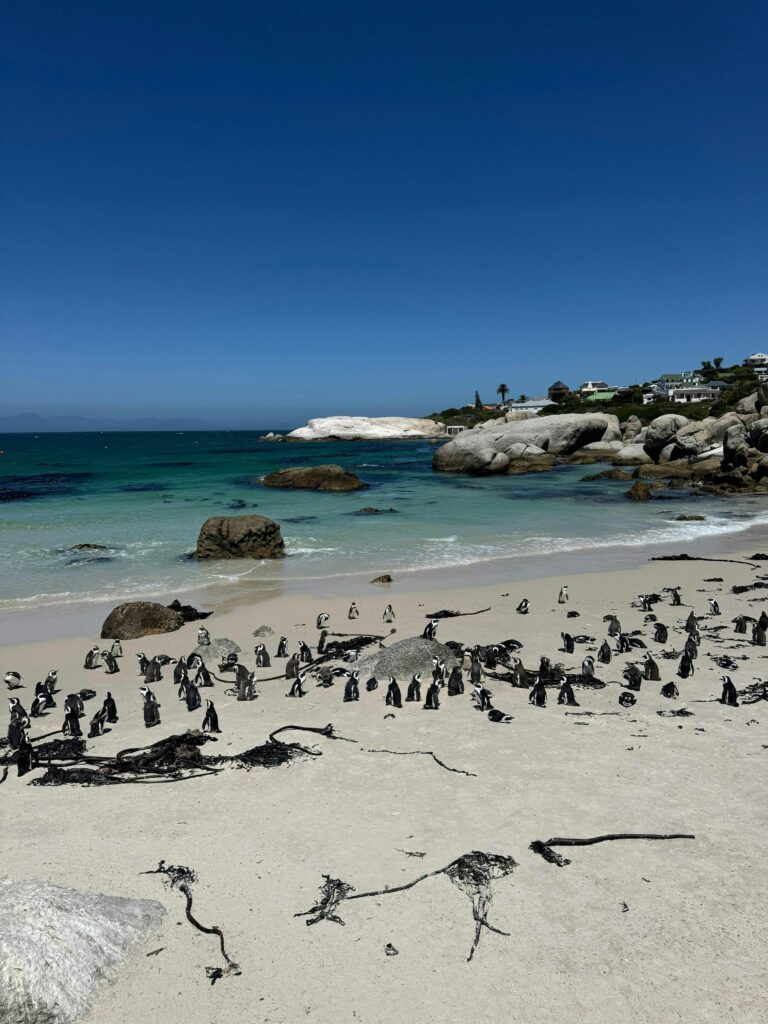South Africa